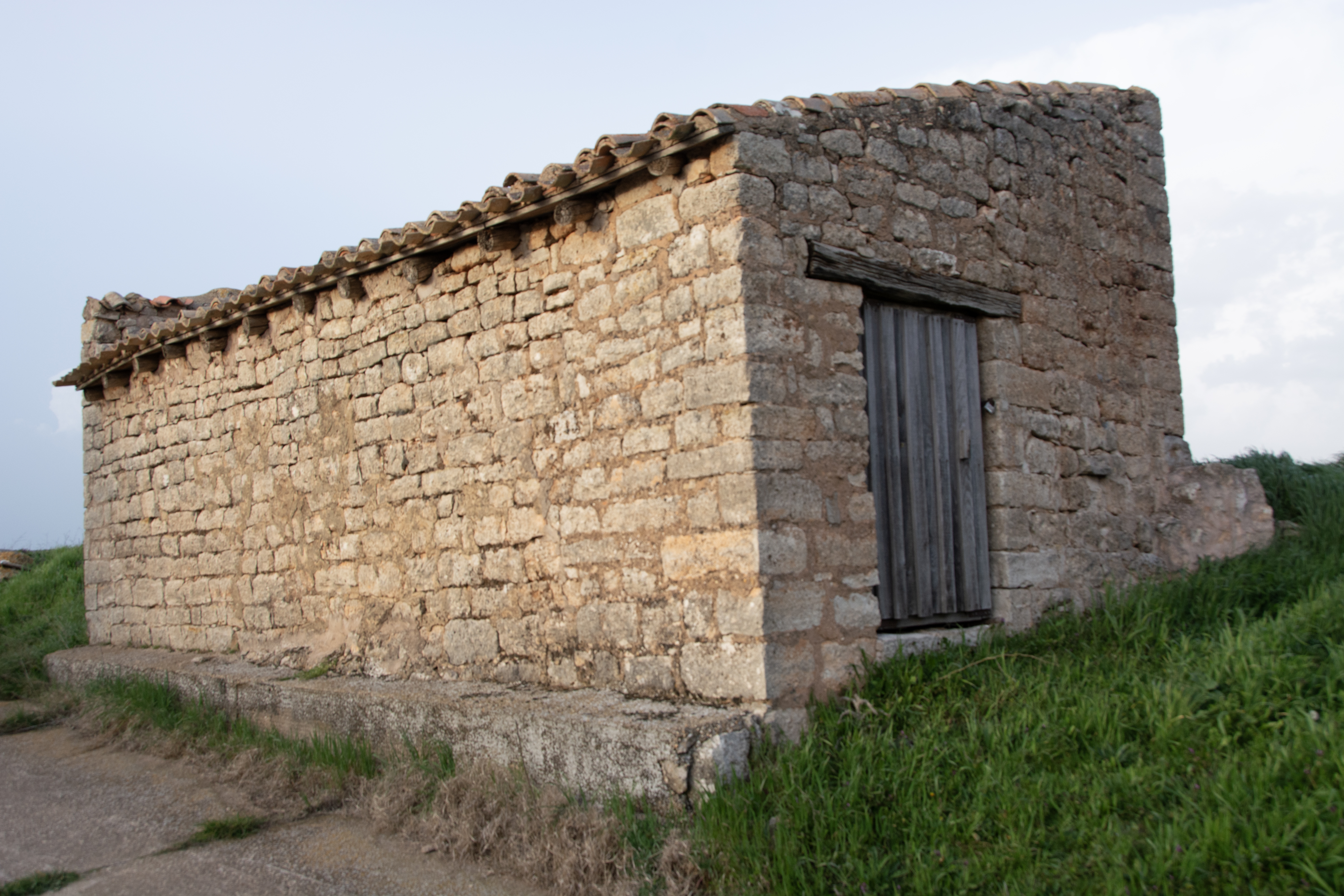 Lagar Elaboración de Vino